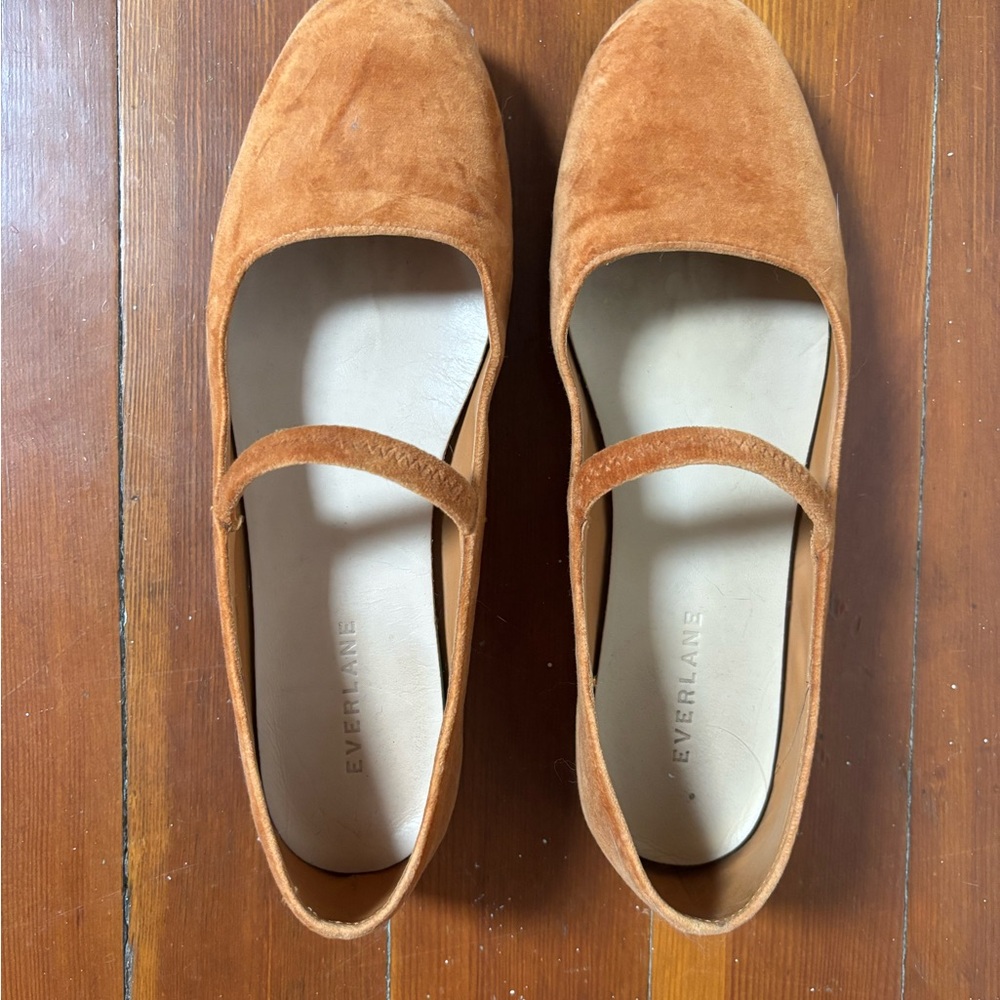 Everlane Day Mary Jane Velvet Flat